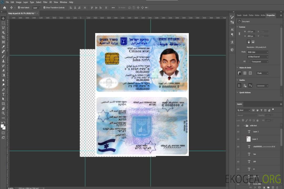 Carte d'identité d'Israël (1) template